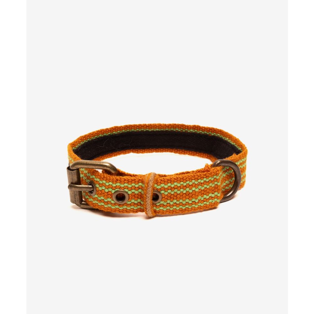 COLLAR DE PERRO MEDIANO/PEQ - LIMA Y NARANJA