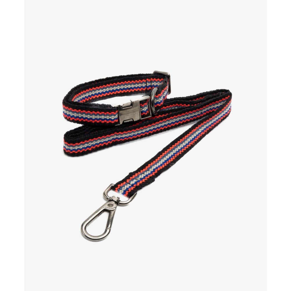 PACK DE COLLAR Y CORREA PARA PERRO PEQ 