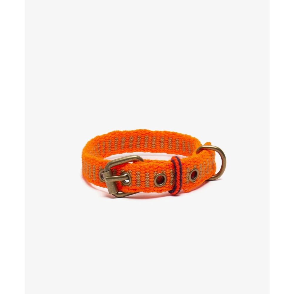COLLAR DE PERRO TOY - NEON NARANJA