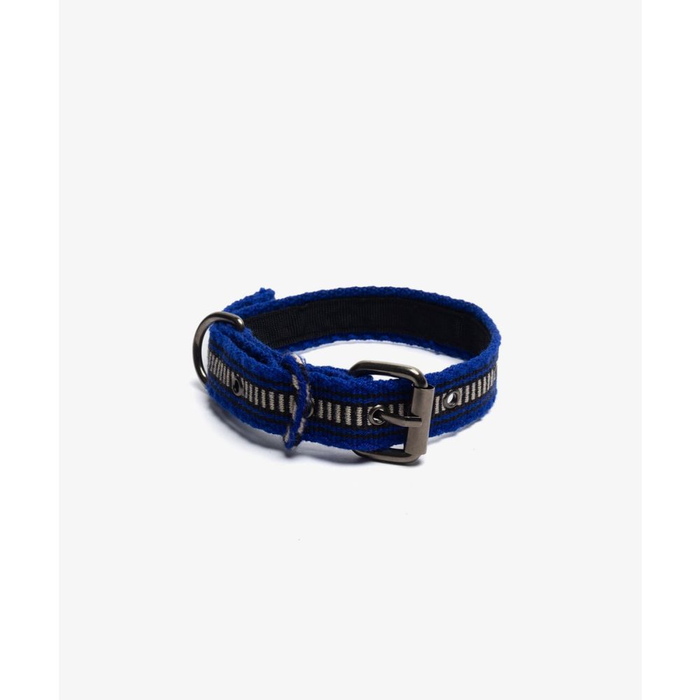 COLLAR DE PERRO PEQ - AZUL Y BLANCO