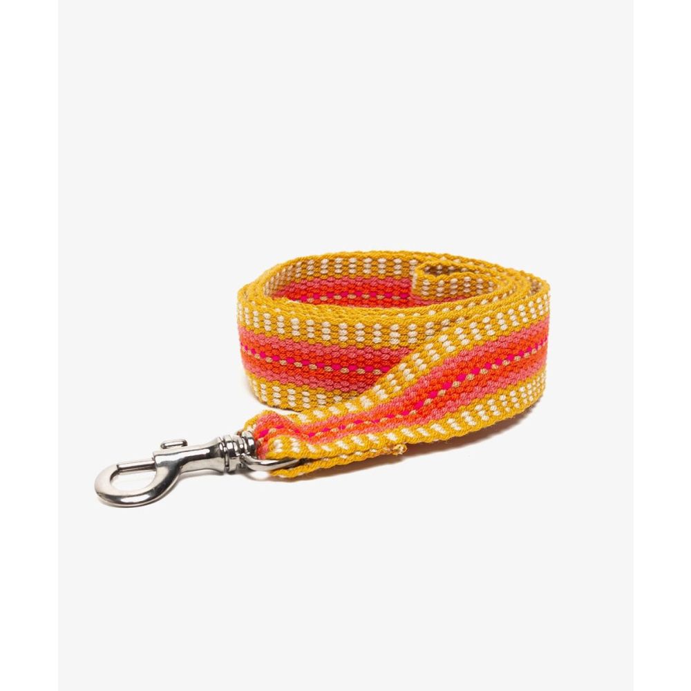 CORREA PARA PERRO GRANDE