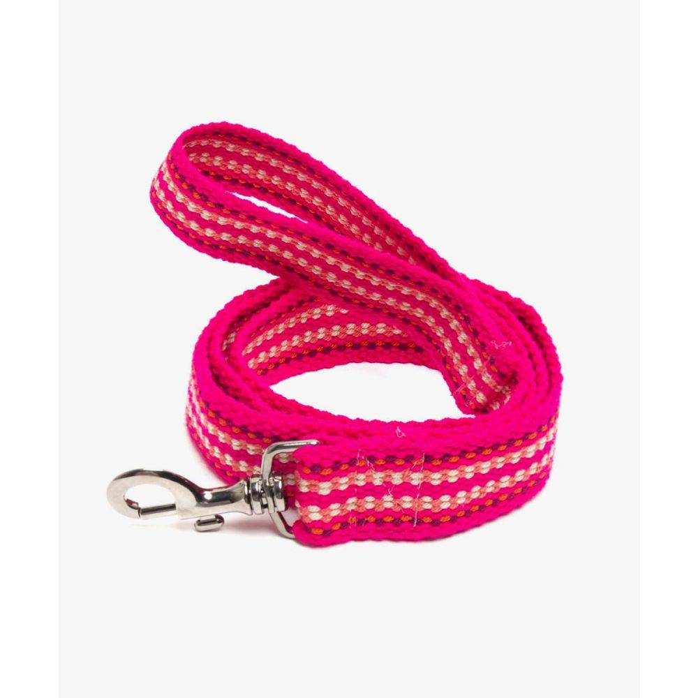 CORREA PARA PERRO GRANDE