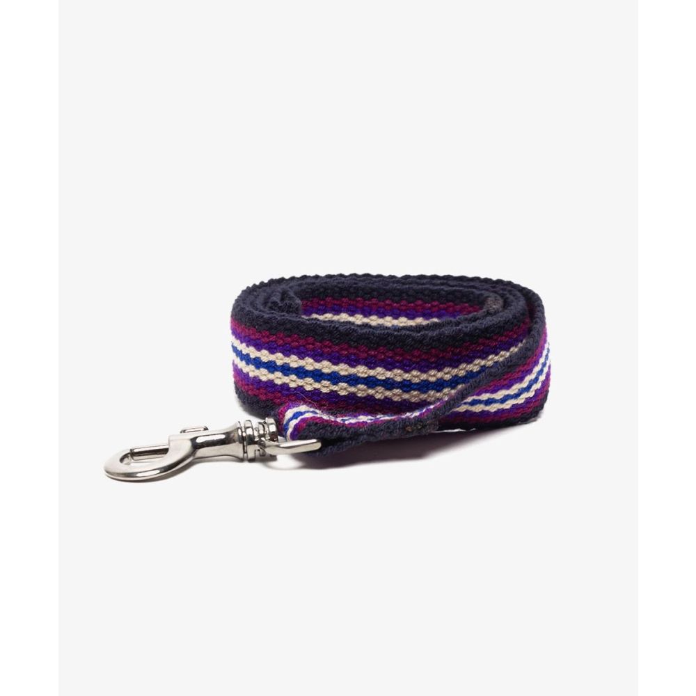 CORREA PARA PERRO GRANDE