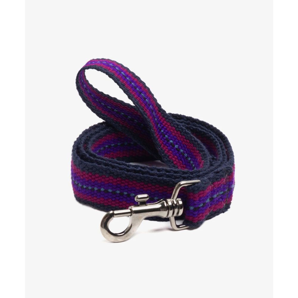 CORREA PARA PERRO GRANDE