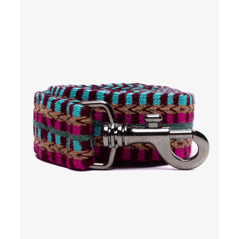 CORREA PARA PERRO GRANDE