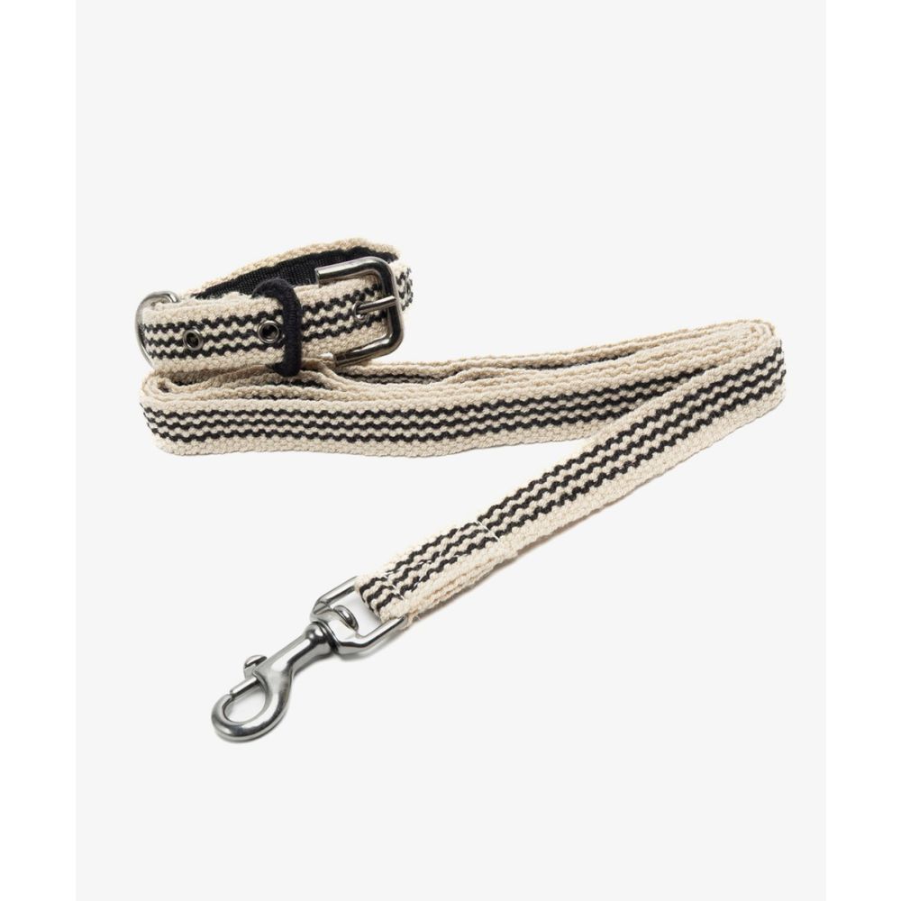 PACK DE COLLAR Y CORREA PARA PERRO PEQ 