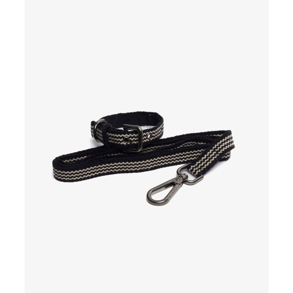 PACK DE COLLAR Y CORREA PARA PERRO PEQ 