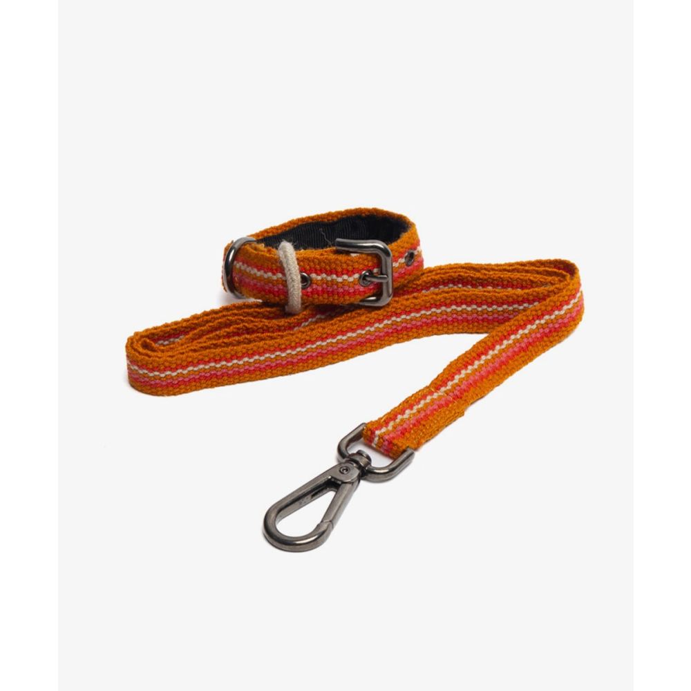 PACK DE COLLAR Y CORREA PARA PERRO PEQ 