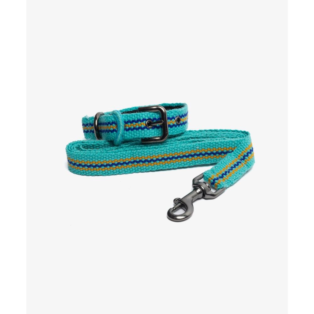 PACK DE COLLAR Y CORREA PARA PERRO PEQ 