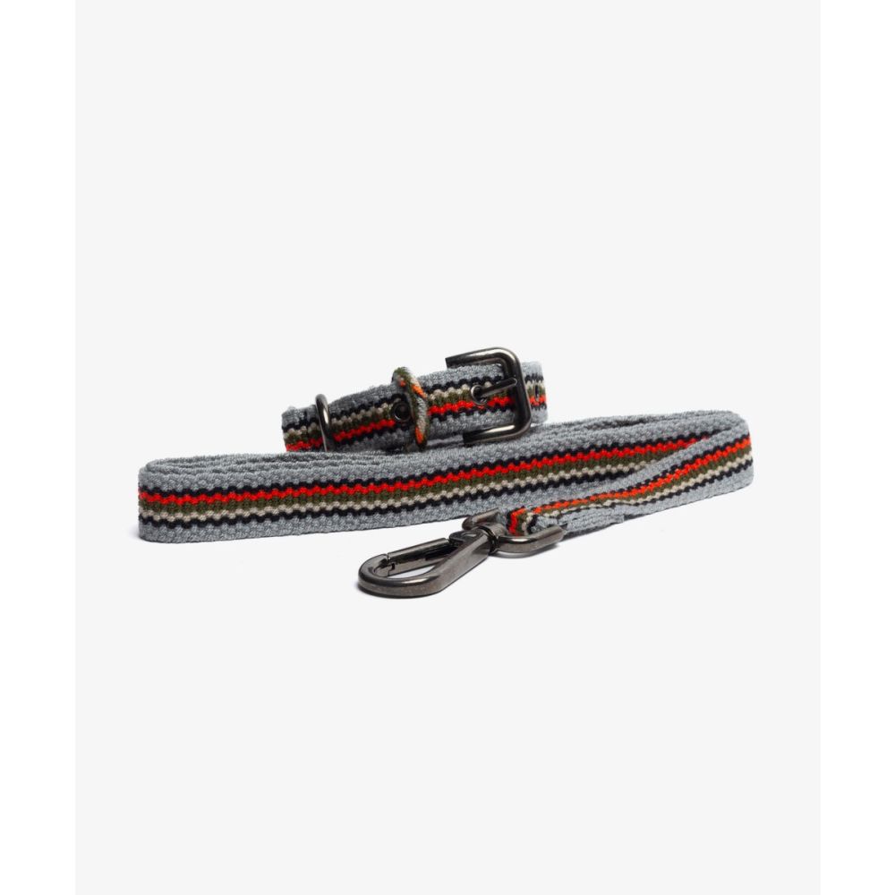 PACK DE COLLAR Y CORREA PARA PERRO PEQ 