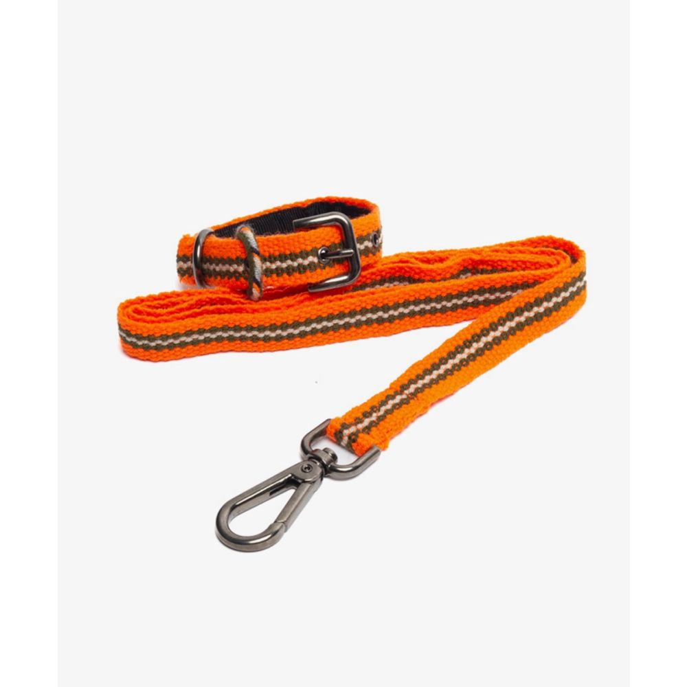 PACK DE COLLAR Y CORREA PARA PERRO PEQ 