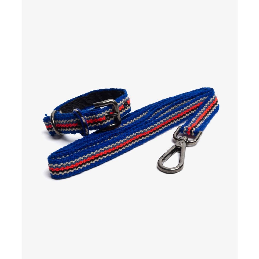 PACK DE COLLAR Y CORREA PARA PERRO PEQ