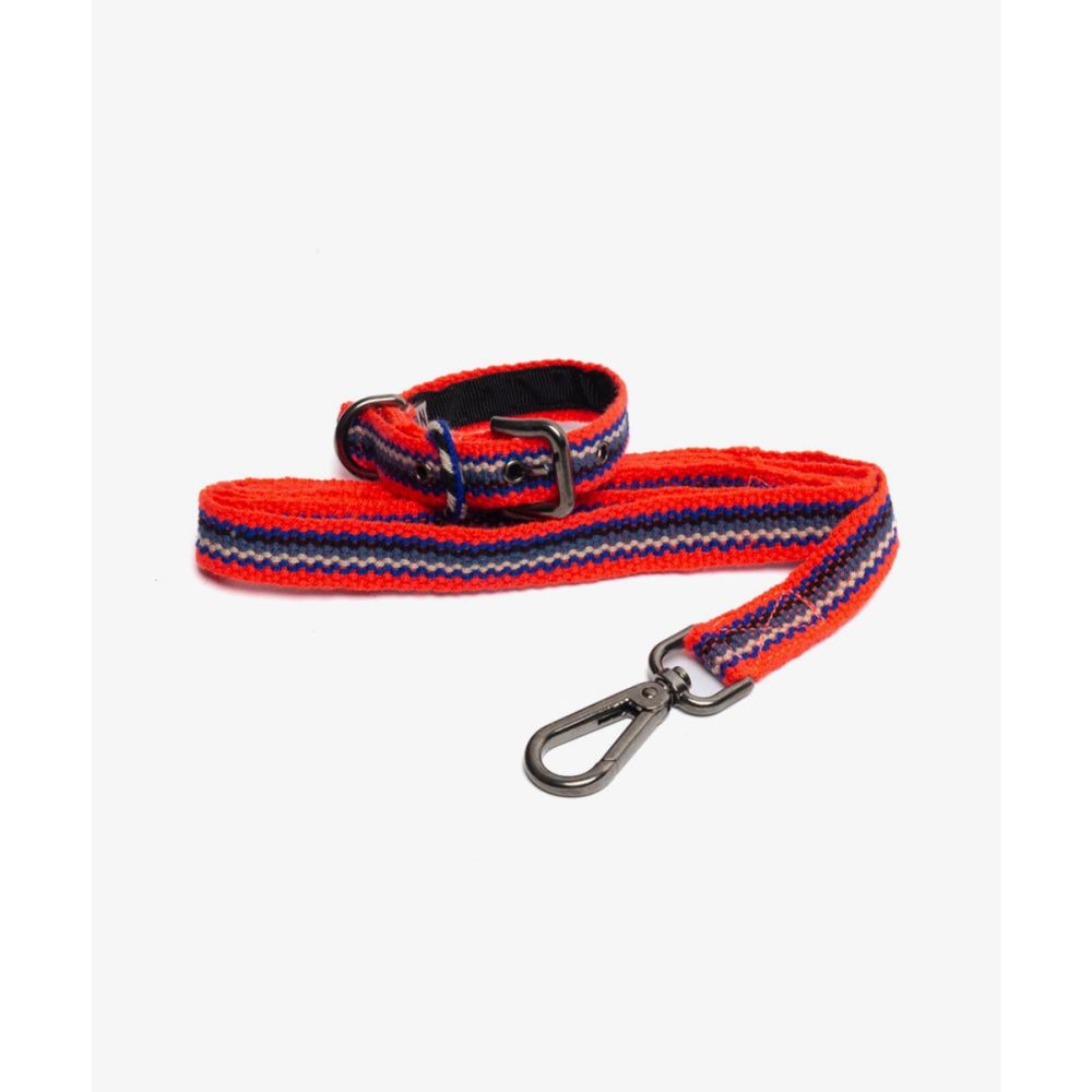 PACK DE COLLAR Y CORREA PARA PERRO PEQ 