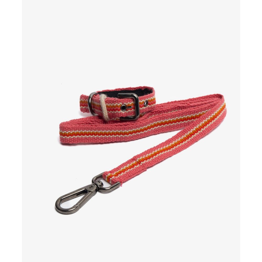 PACK DE COLLAR Y CORREA PARA PERRO PEQ 