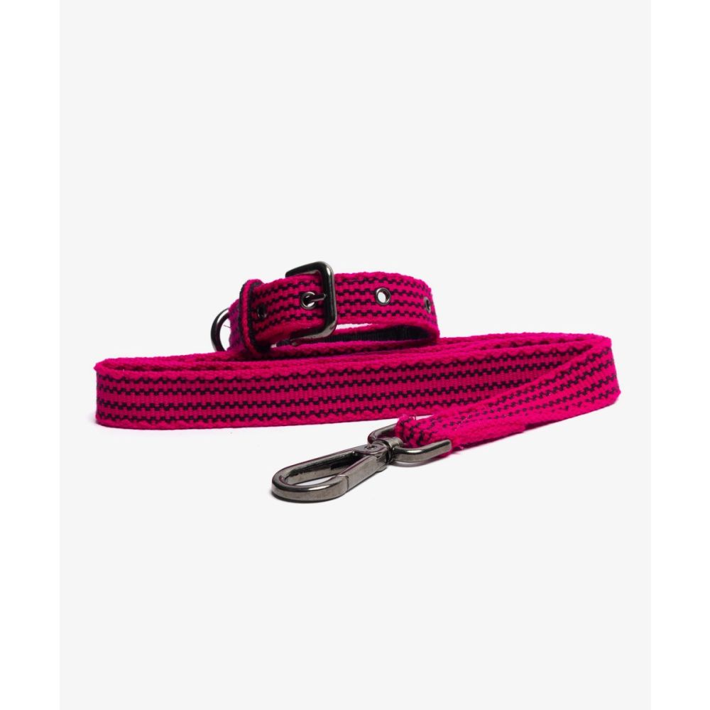 PACK DE COLLAR Y CORREA PARA PERRO PEQ 